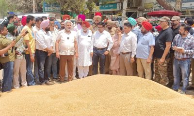 पंजाब की मंडियों में गेहूं की रिकॉर्ड तोड़ आवक, किसानों को बिना किसी देरी के किया जा रहा भुगतान